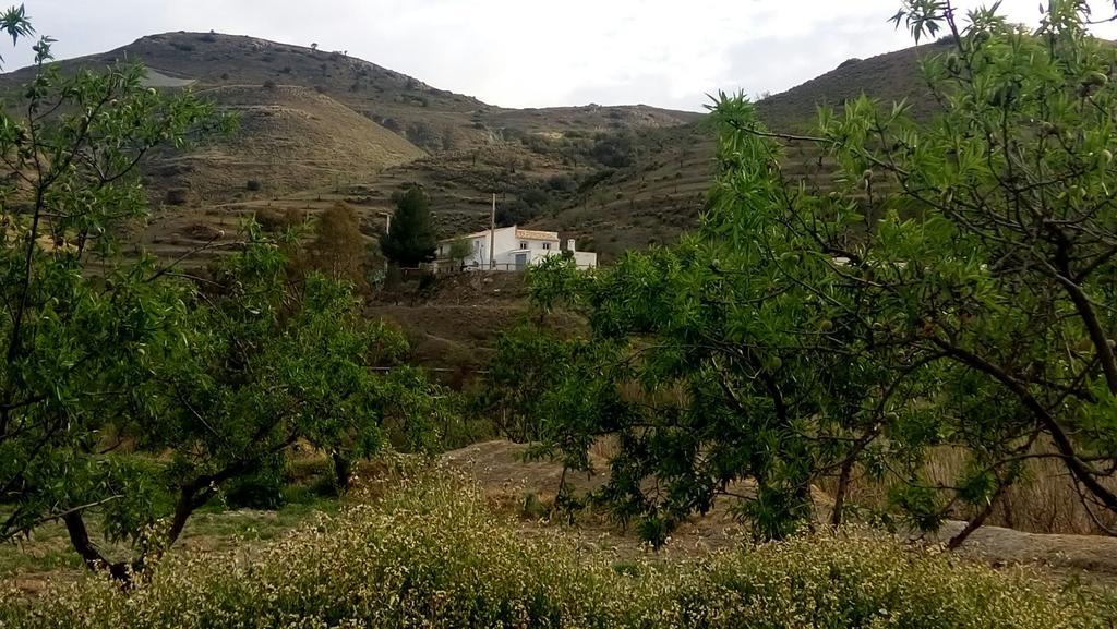 Cortijo Claudia Guest House Taberno Exterior foto