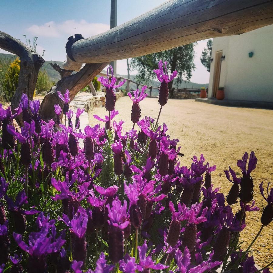 Cortijo Claudia Guest House Taberno Exterior foto